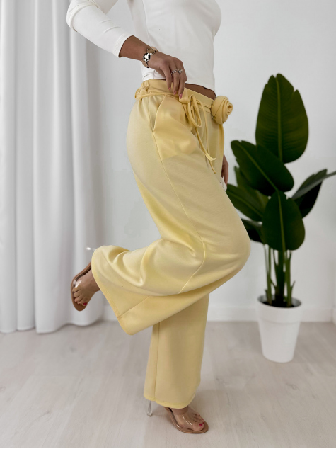 PANTALON BOYLE JAUNE